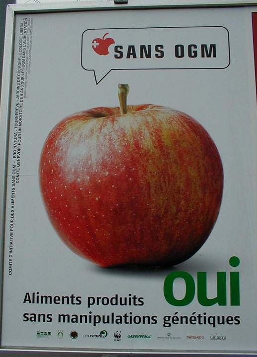 P1010011.jpg